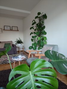 viber_image_2026-01-17_16-24-10-394